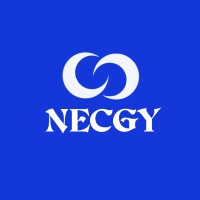 Necgy IT and Consulting