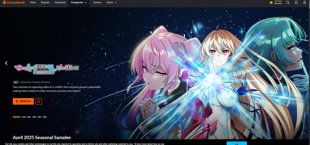 Anime Website